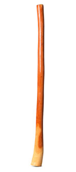 Ironbark Didgeridoo (IB263)